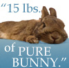15 lbs of Pure Bunny!
from IrenaK at: [url]http://irenak.livejournal.com/[/url]
