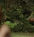 homeland-1x04-sc-097.jpg