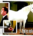Filename=horse1-1.jpg
Filesize=190KiB
Dimensions=500x300
Date added=Mar 30, 2008 horse1-1.jpg