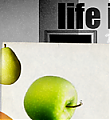 Filename=spooky-window-banner-01.png
Filesize=90KiB
Dimensions=500x150
Date added=Oct 12, 2009 spooky-window-banner-01.png
