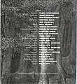 Filename=Woods2.jpg
Filesize=1593KiB
Dimensions=1193x1808
Date added=Dec 05, 2005 Woods2.jpg