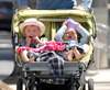 stroller6~0.jpg