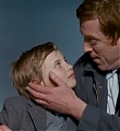 will-sc-360.jpg