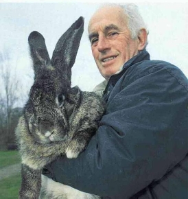 giantrabbit3.jpg